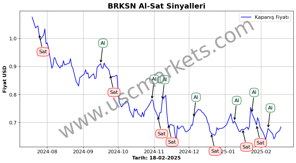 BRKSN algoritma sinyalleri 4