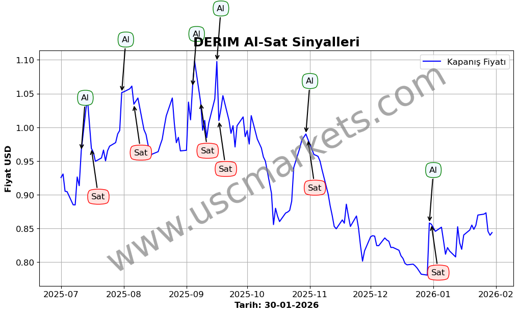 DERIM algoritma sinyalleri 4
