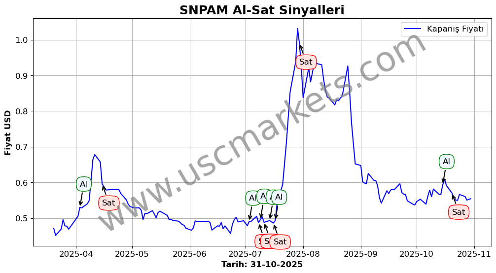 SNPAM algoritma sinyalleri 1